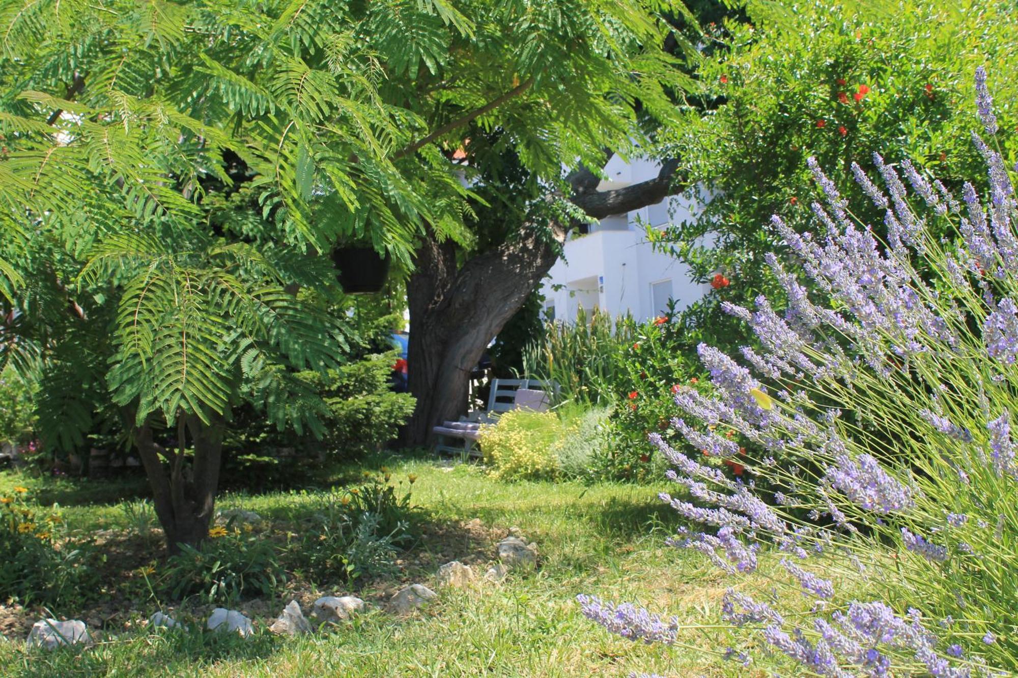 Apartments 501 - Rab Island Oasis Retreat Supetarska Draga Buitenkant foto