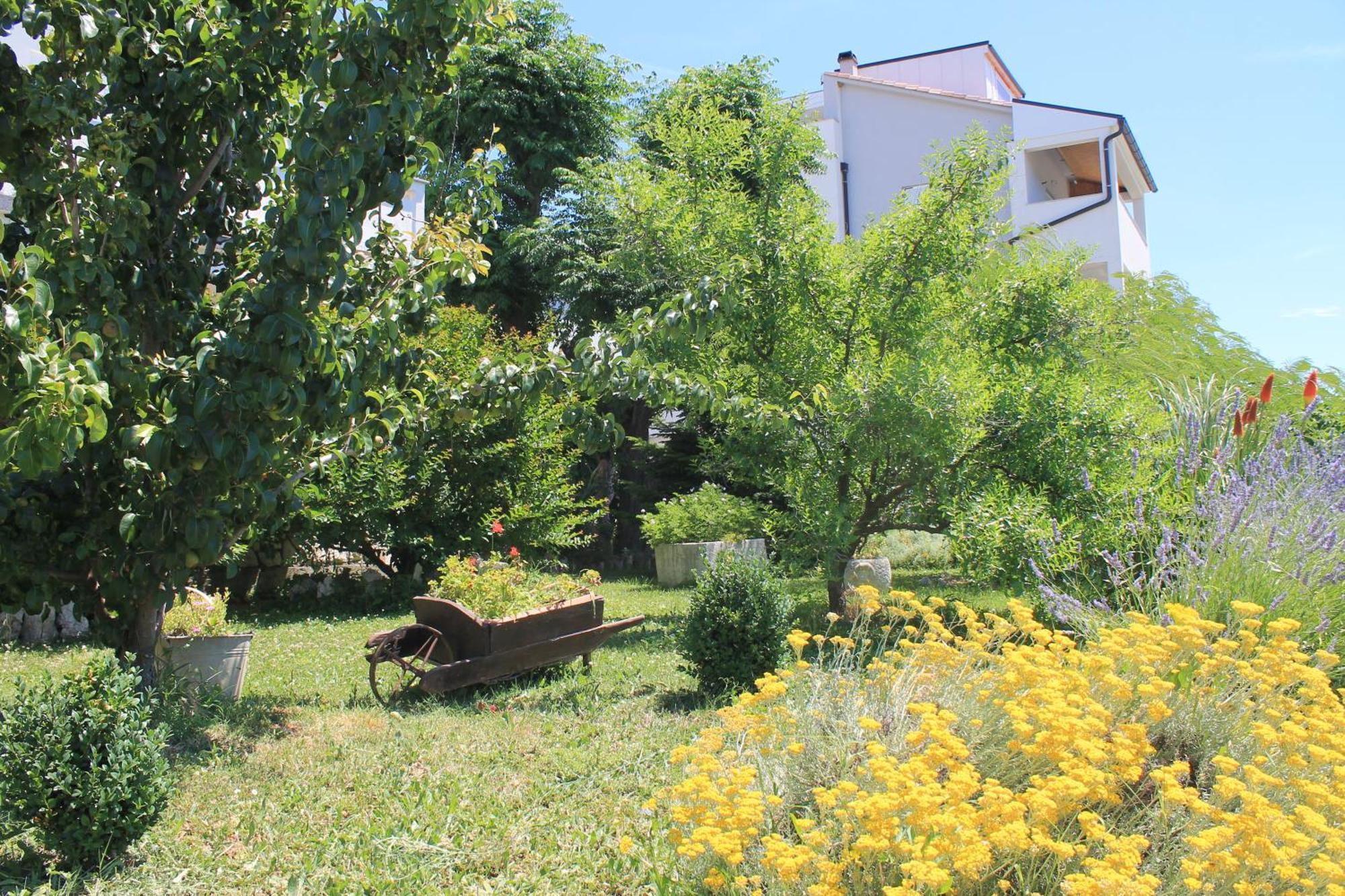 Apartments 501 - Rab Island Oasis Retreat Supetarska Draga Buitenkant foto