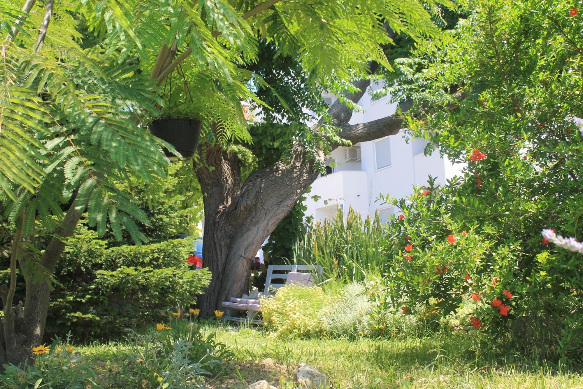 Apartments 501 - Rab Island Oasis Retreat Supetarska Draga Buitenkant foto