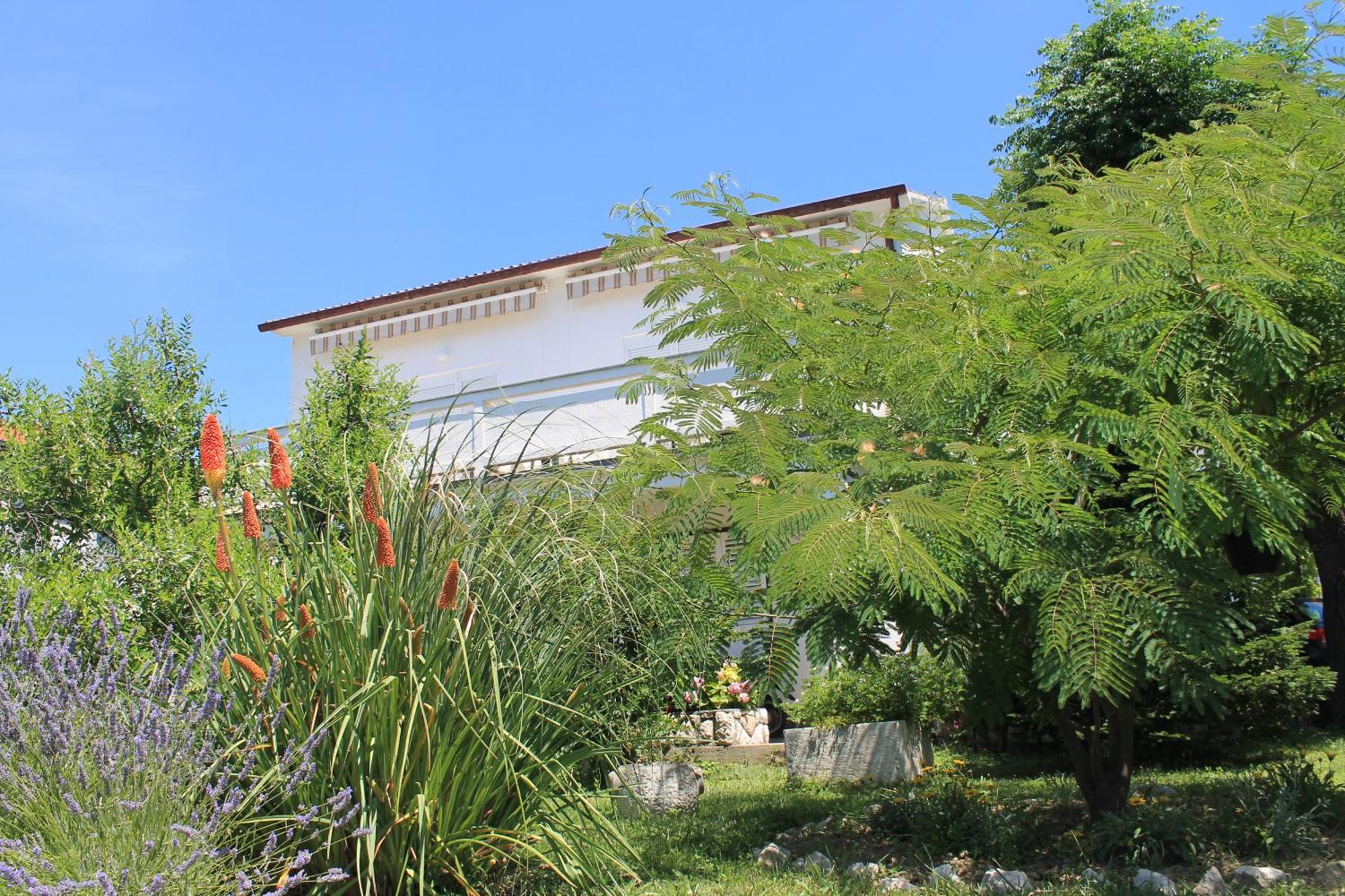 Apartments 501 - Rab Island Oasis Retreat Supetarska Draga Buitenkant foto