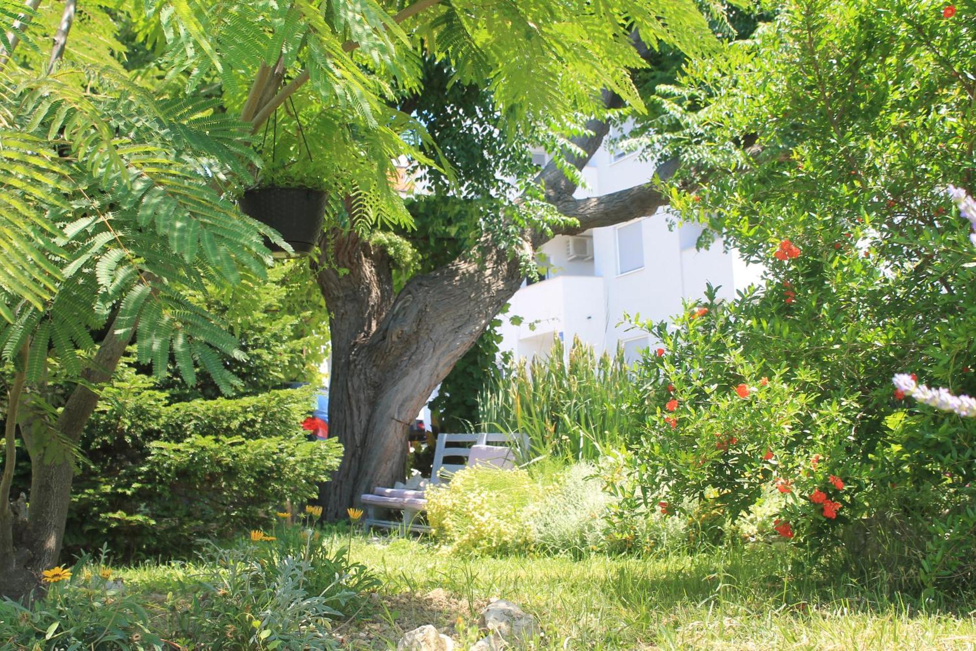 Apartments 501 - Rab Island Oasis Retreat Supetarska Draga Buitenkant foto