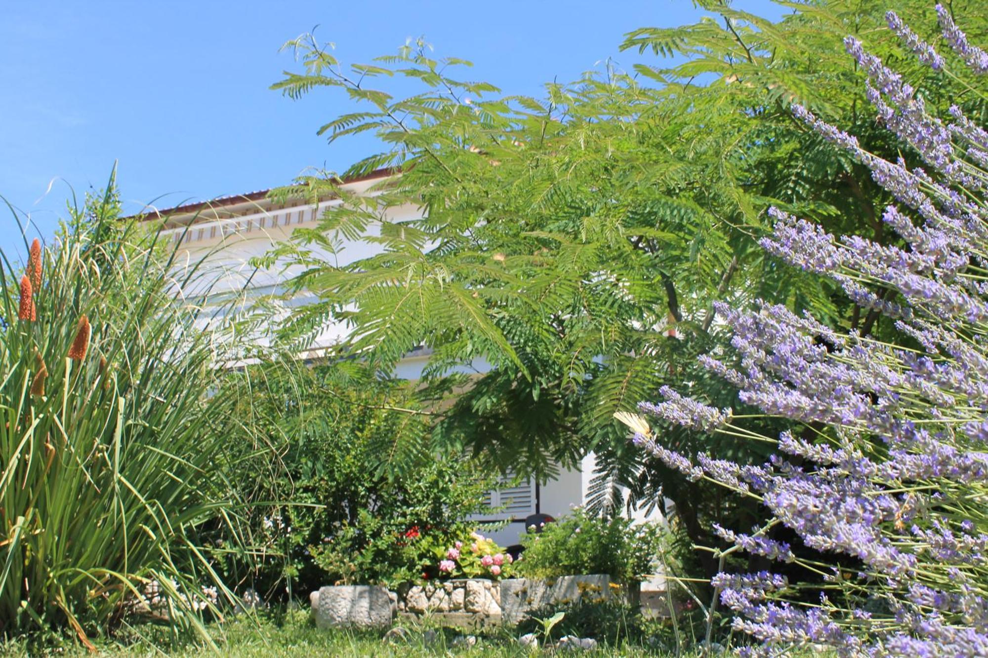 Apartments 501 - Rab Island Oasis Retreat Supetarska Draga Buitenkant foto