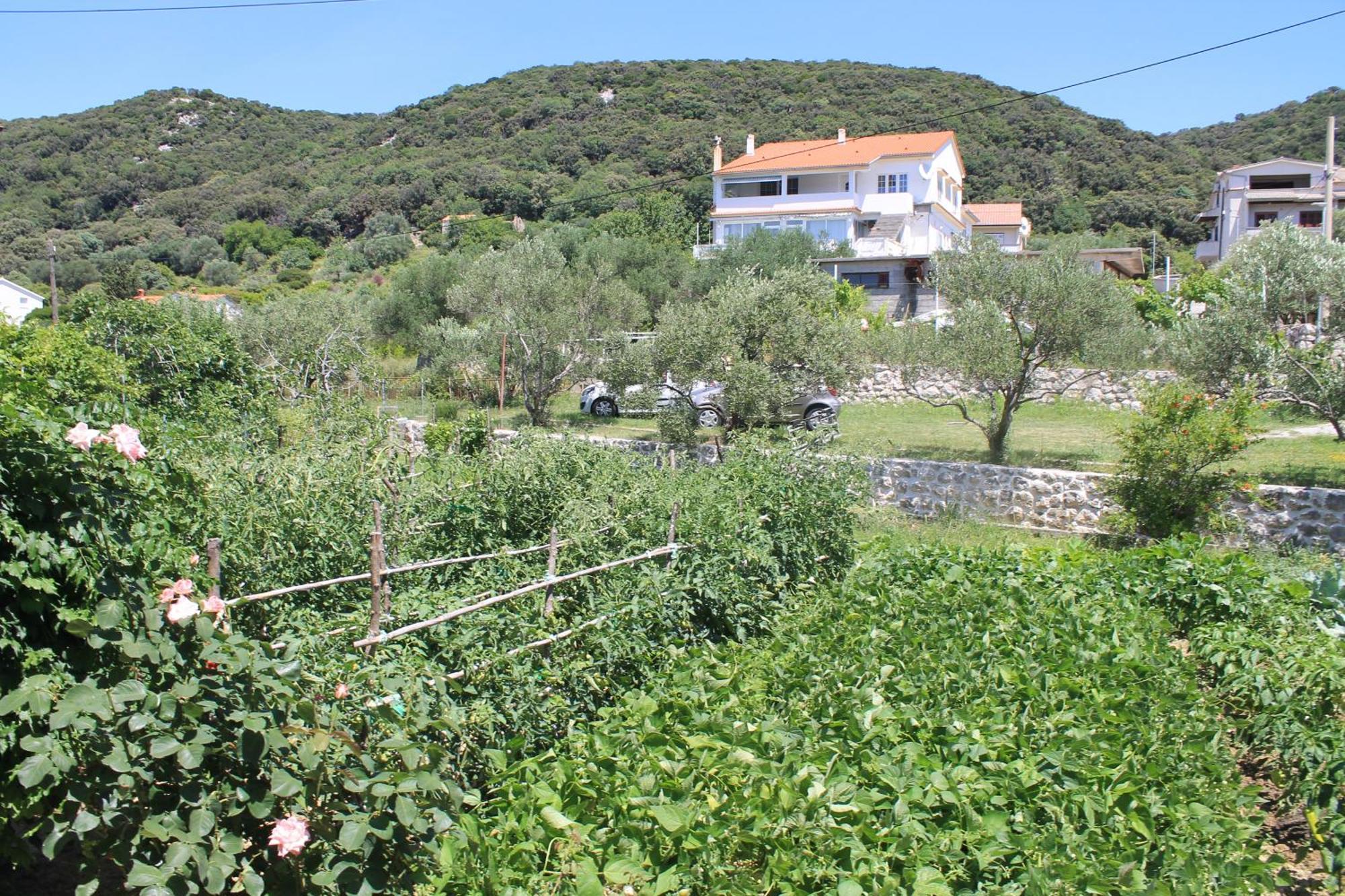 Apartments 501 - Rab Island Oasis Retreat Supetarska Draga Buitenkant foto