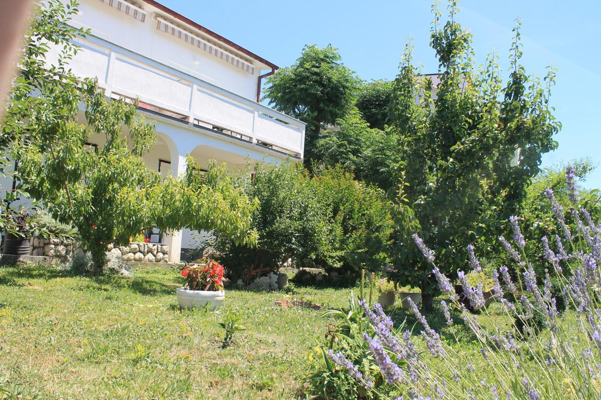 Apartments 501 - Rab Island Oasis Retreat Supetarska Draga Buitenkant foto