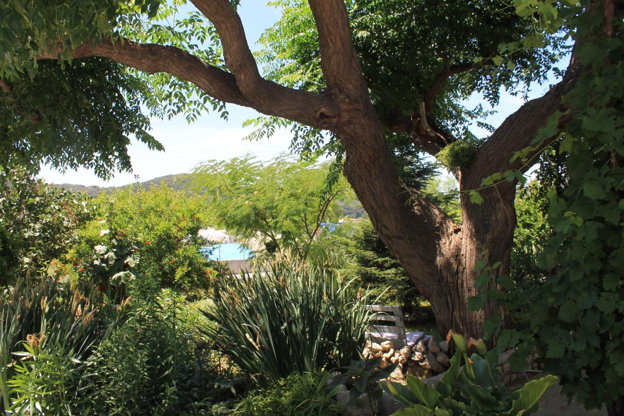 Apartments 501 - Rab Island Oasis Retreat Supetarska Draga Buitenkant foto