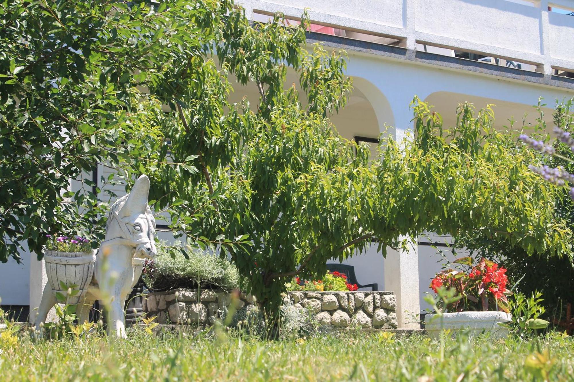 Apartments 501 - Rab Island Oasis Retreat Supetarska Draga Buitenkant foto