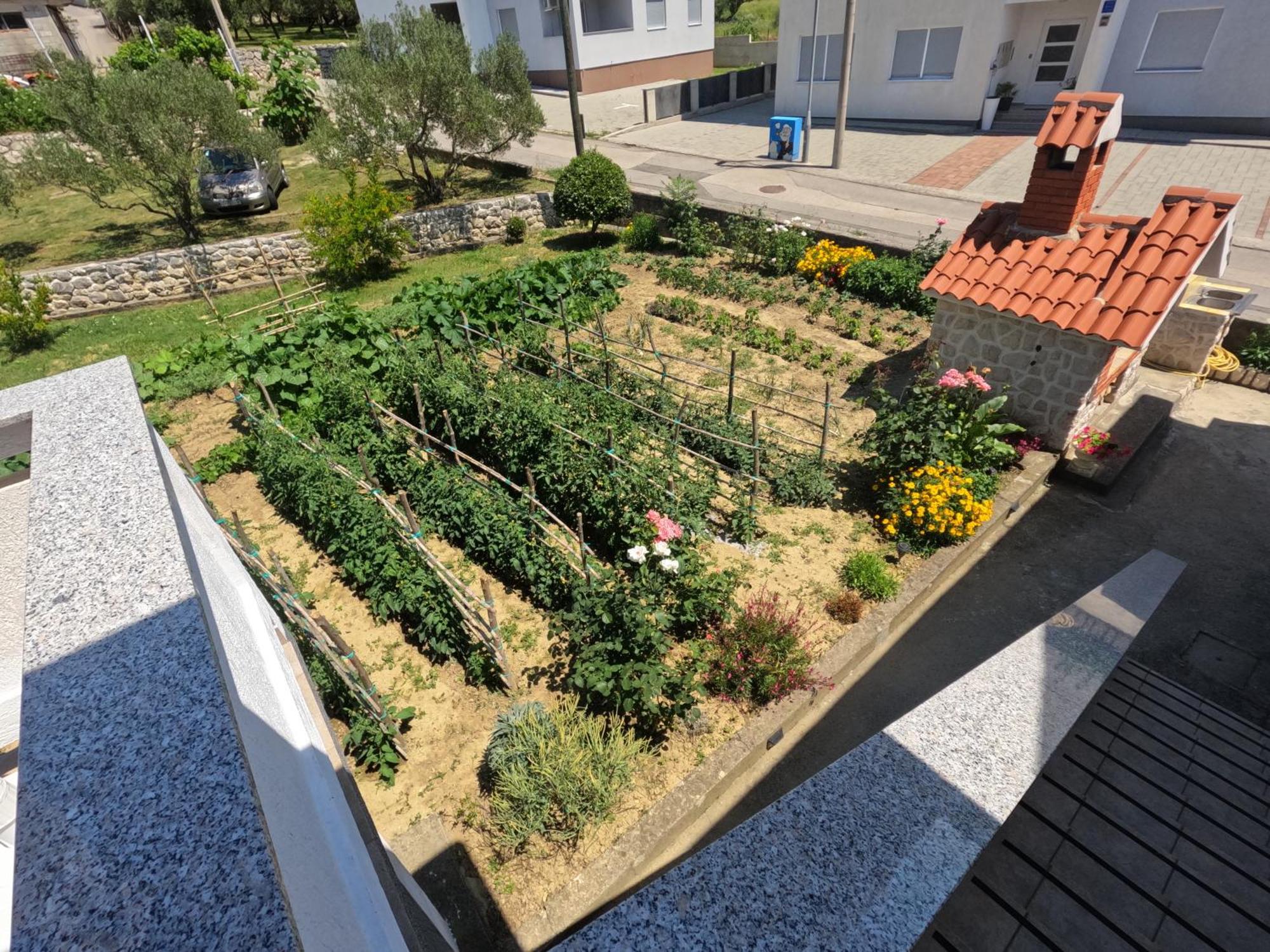 Apartments 501 - Rab Island Oasis Retreat Supetarska Draga Buitenkant foto